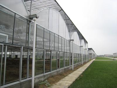 U型结构板应用于温室顶棚