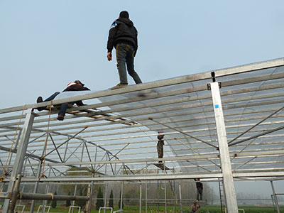 温室大棚搭建